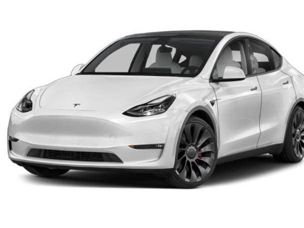 TESLA MODEL Y 2021 5YJYGDEE6MF099103 image